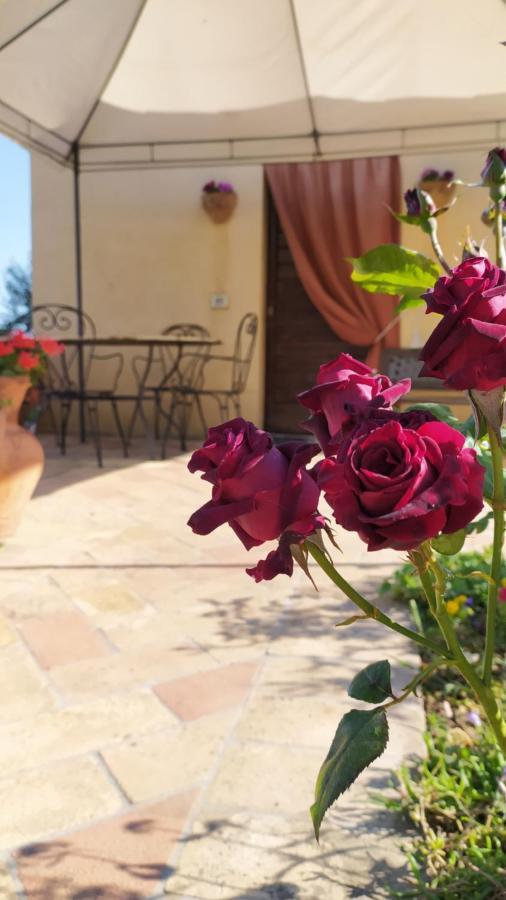 Il Casale Di Fiore Cannara المظهر الخارجي الصورة