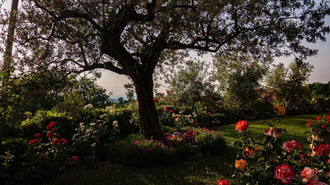 Il Casale Di Fiore Cannara المظهر الخارجي الصورة