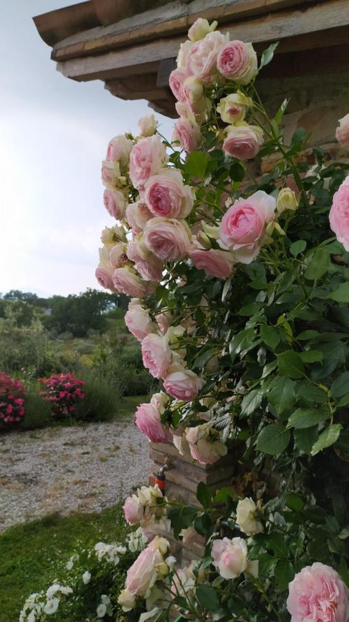 Il Casale Di Fiore Cannara المظهر الخارجي الصورة